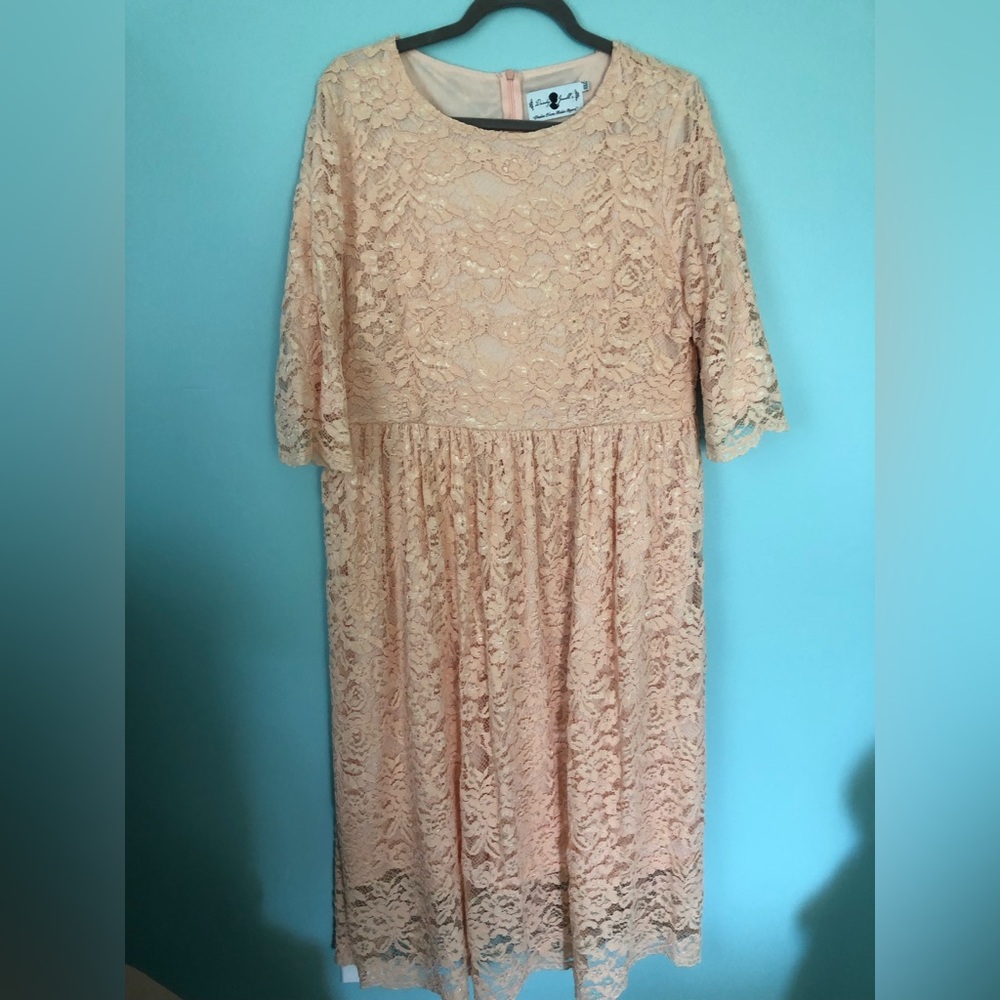 XXL Dainty Jewells Blush Lace Midi Dress
